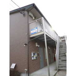 アムール日の森