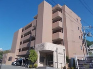 アルヴェアーレの画像