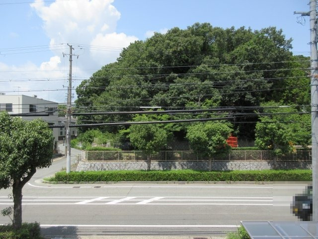 エムライズの展望