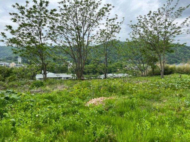 売地　二戸市石切所杉ノ沢