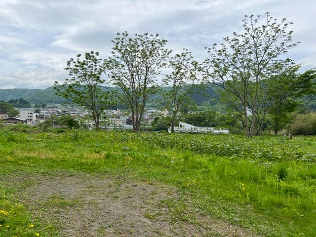 売地　二戸市石切所杉ノ沢の外観
