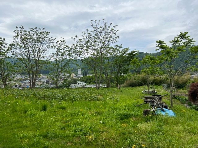 売地　二戸市石切所杉ノ沢の外観