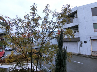 【展望】 | カムフォーラユー