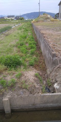 ５８８４４　岐阜市下西郷土地の外観