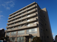 グリーンアイ長木川の画像