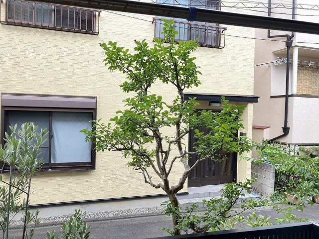 サンステートRMの展望