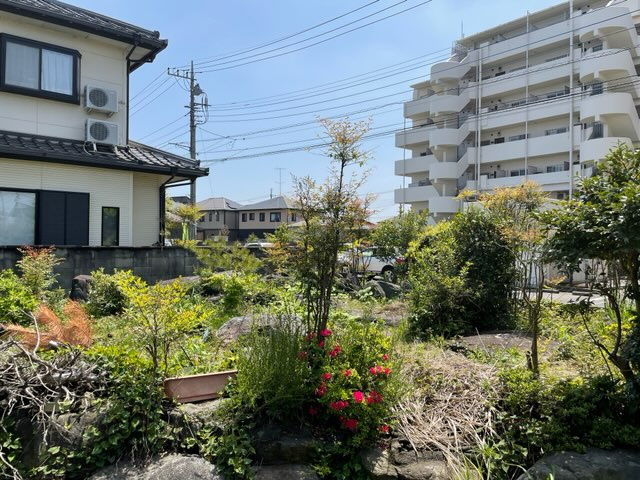 【庭】の画像