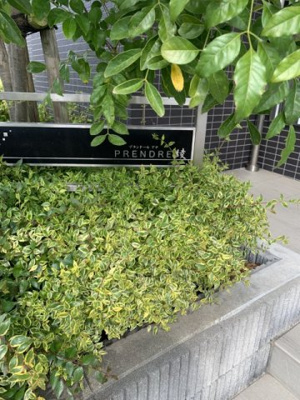 【庭】 | プランドール綾