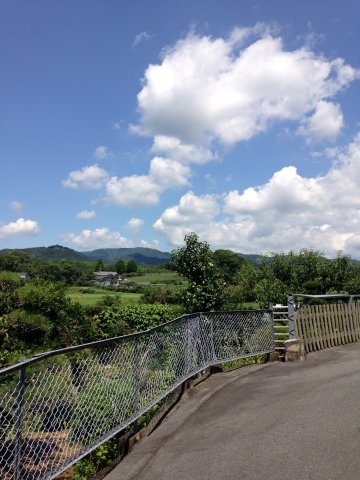 アパート水小屋の展望