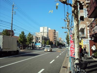 第28長栄四条ＳＫハイツの周辺|前面道路