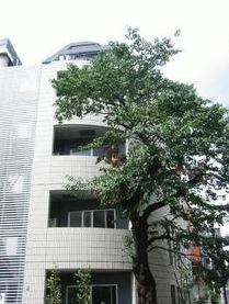 エスペランサ平河町の外観|エスペランサ平河町