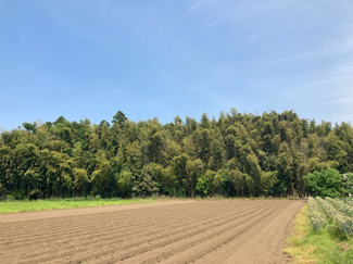 【外観】 | つくば市沼崎土地