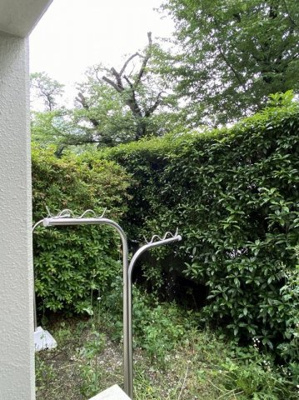 【展望】 | コートアリゴヴェール