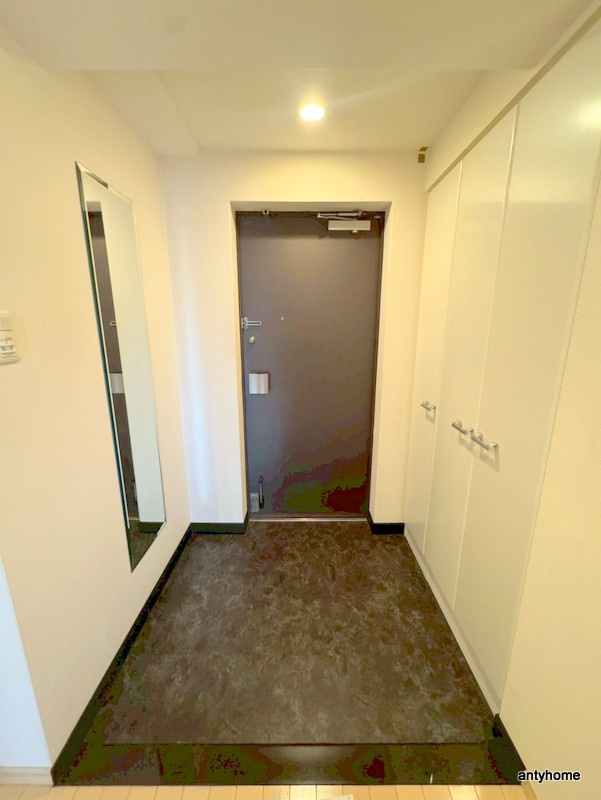 プレサンス梅田EAST　仲介手数料無料の玄関