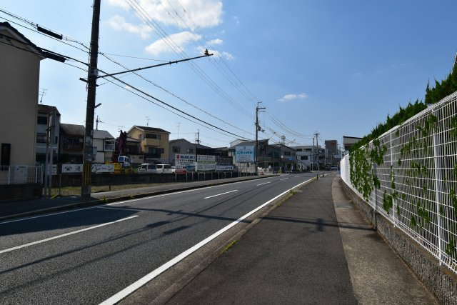フォーレストグリーンの周辺|前面道路