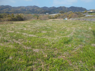 【外観】 | 洲本市中川原　約3500坪の売土地