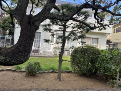 【展望】 | 白幡ハイツ