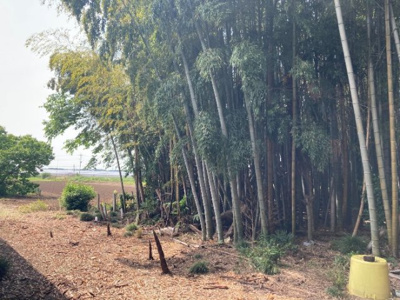 【周辺】 | つくば市沼崎土地