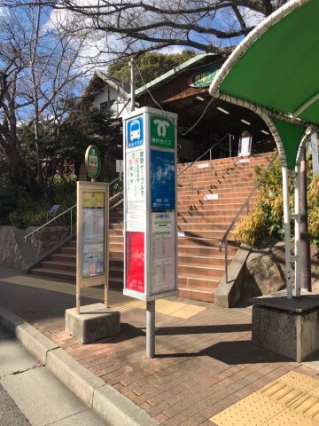 箕岡通4丁目 6・7号地 売土地の周辺