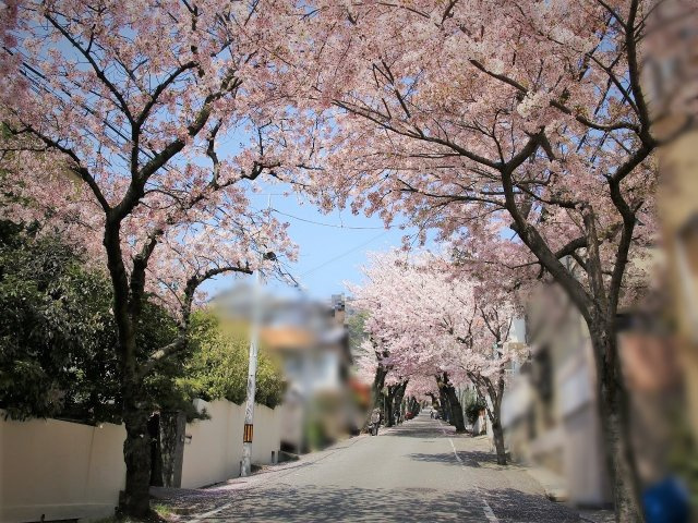箕岡通4丁目 6・7号地 売土地の周辺