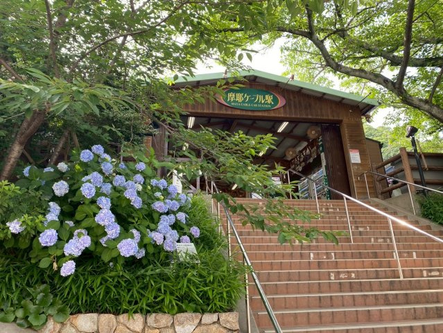 箕岡通4丁目 6・7号地 売土地の周辺|摩耶ケーブル駅まで260ｍ
バス停も近いので、毎日のお出かけも軽やかです