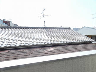 【展望】 | SANCTUARY