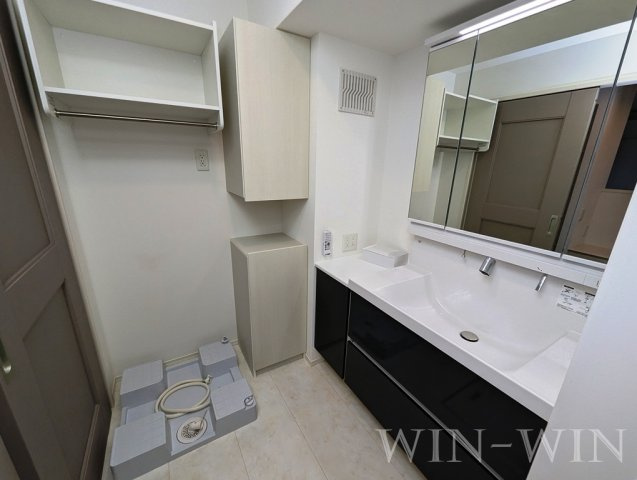 グランヴェール柱の洗面所