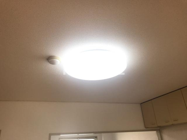 フローレンスシバ|照明器具