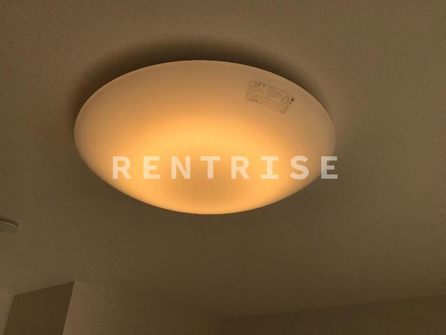 ダフネのその他共用部分|照明