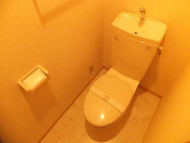 ヴェルドミールⅡのトイレ