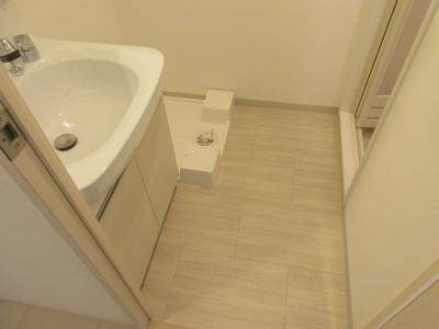 アドバンス京都アリビオの洗面所