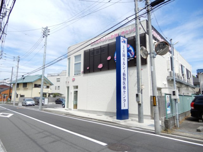 【周辺】 | サン南ビル　１階　区分店舗事務所 | 物件斜め前の動物病院
