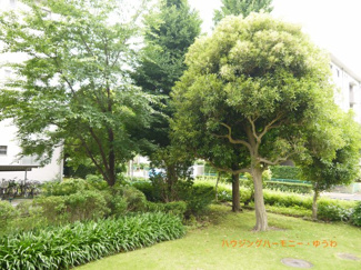 【展望】