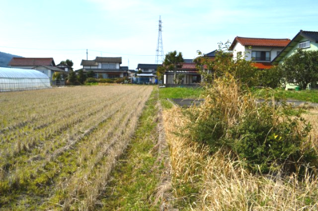 西代町　売土地の外観|敷地と水田の間はブロック施工済み。