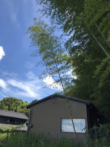 福井市 浄土寺町  住宅用地のその他