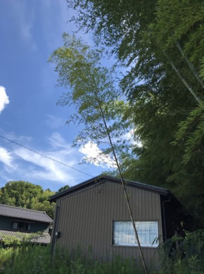 【その他】 | 福井市 浄土寺町  住宅用地