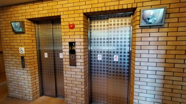 城東中央アインスのその他共用部分|エレベーターが2基あると混雑時もスムーズです。