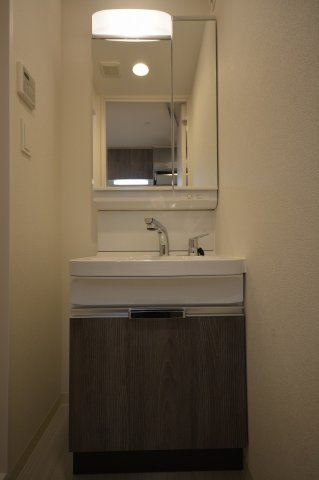 プレサンス南堀江ザセンスの洗面所