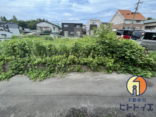 セルリアンハイツの展望|眺望です