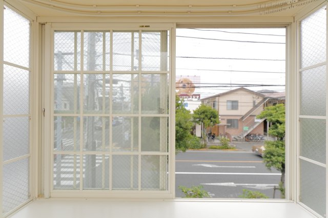 アネックスⅡAのその他