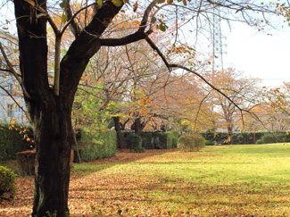 【周辺】 | 敷地内公園