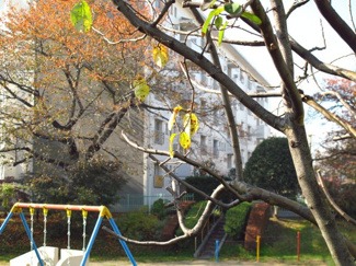 【周辺】 | 敷地内公園