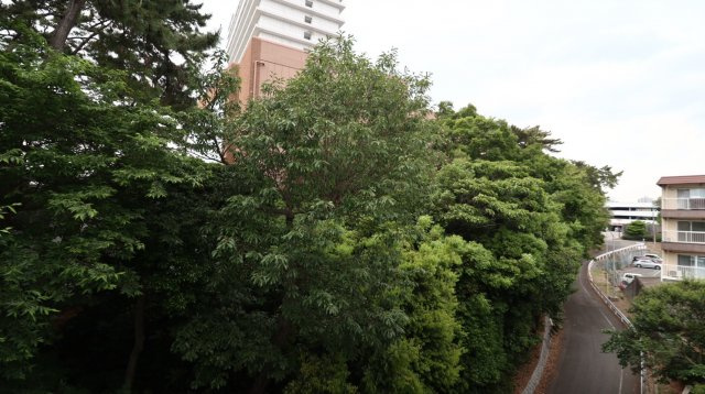 グリーンヒル舞子の展望