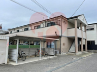 ピーコック和泉の画像