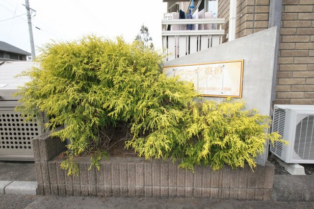 セジュール楽楽　C棟のその他