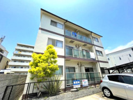 エメラルドテラの画像