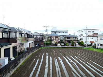 【展望】 | フェリーチェ