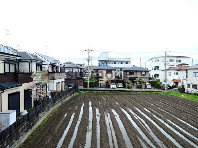 【展望】 | フェリーチェ