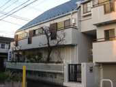 マイシルクの画像