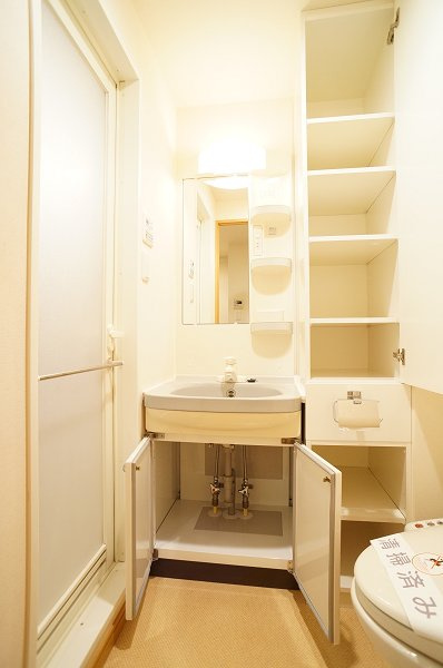 エスティメゾン亀戸の洗面所|洗面所（収納豊富）